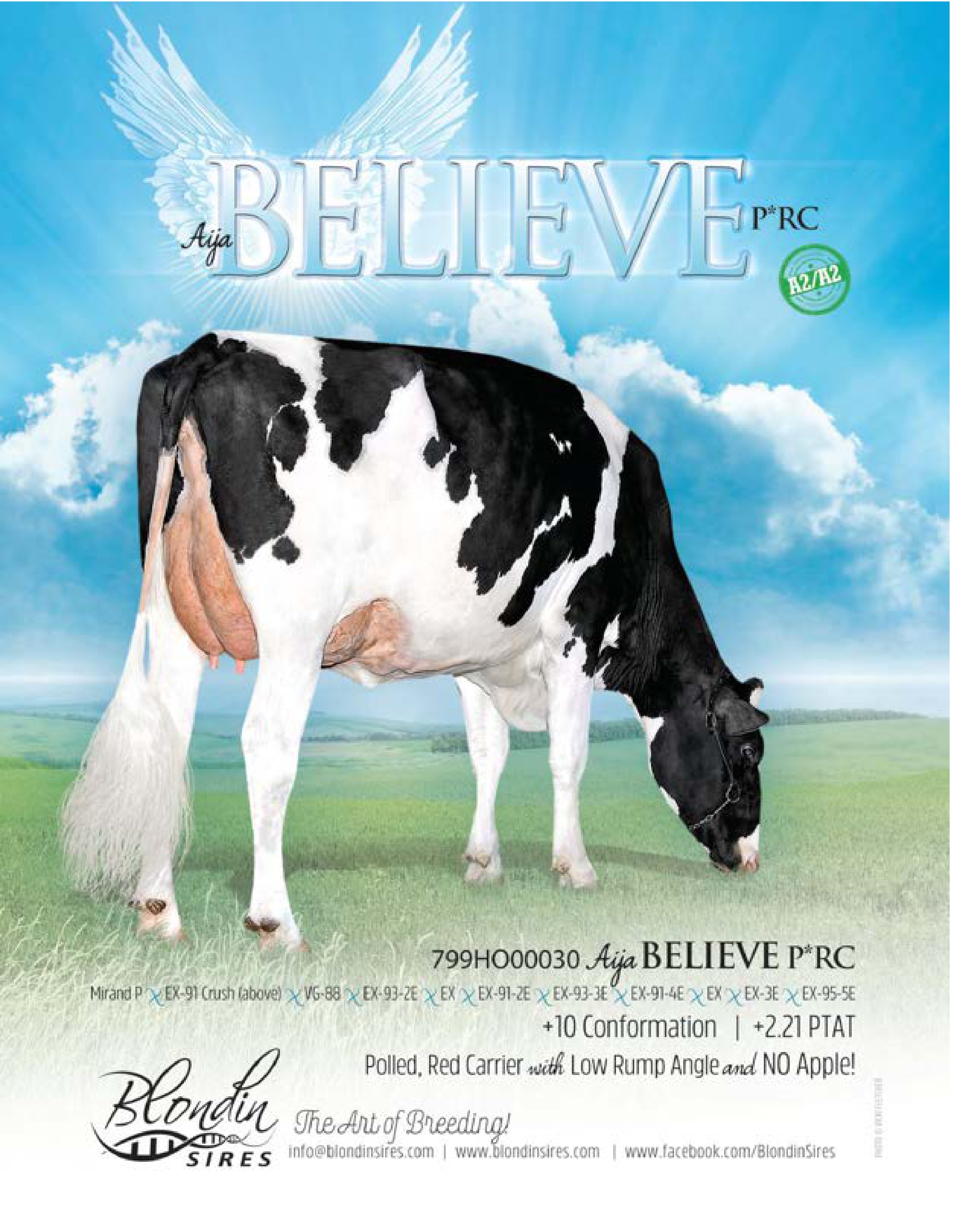 BELIEVE-P — 799HO00030